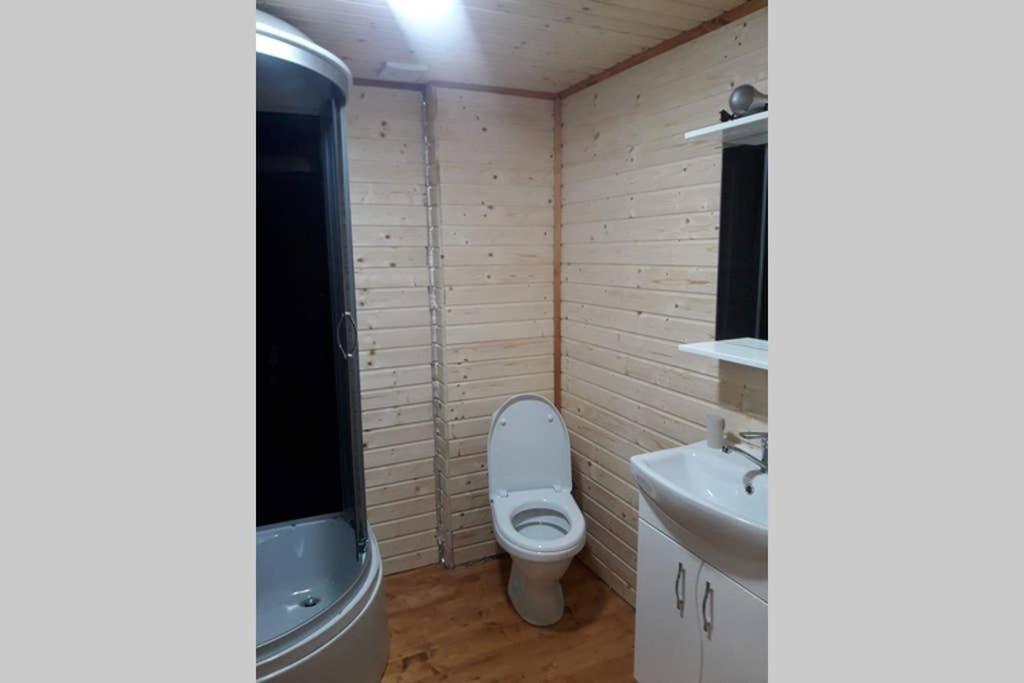 Номер 6 Садиба У Ані Synevyrs'ka Polyana Exterior photo